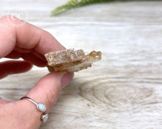 Golden Selenite - Arizona #10