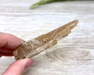 Golden Selenite - Arizona #11