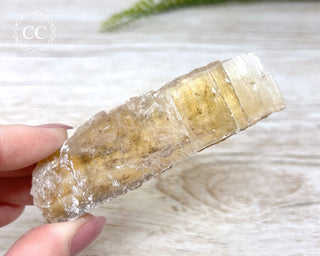 Golden Selenite - Arizona #11