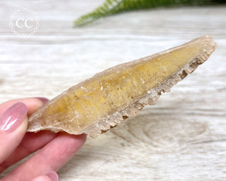 Golden Selenite - Arizona #1