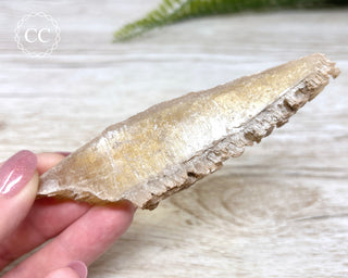 Golden Selenite - Arizona #1