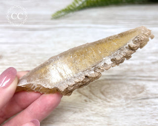 Golden Selenite - Arizona #1