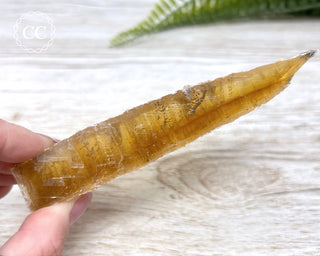 Golden Selenite - Arizona #4