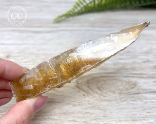 Golden Selenite - Arizona #4