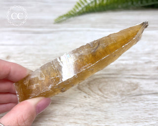 Golden Selenite - Arizona #4