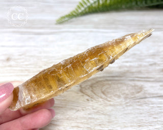 Golden Selenite - Arizona #4