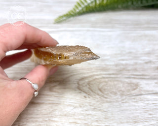 Golden Selenite - Arizona #4