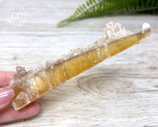 Golden Selenite - Arizona #5