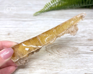 Golden Selenite - Arizona #5