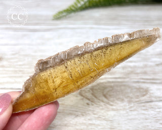 Golden Selenite - Arizona #1