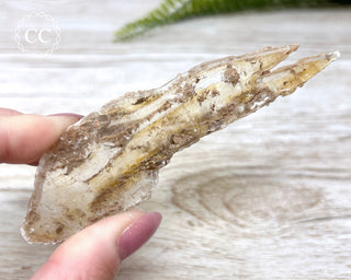 Golden Selenite - Arizona #6