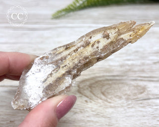 Golden Selenite - Arizona #6