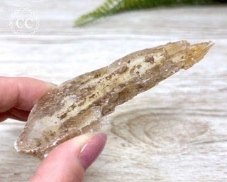 Golden Selenite - Arizona #6
