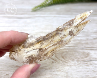 Golden Selenite - Arizona #6