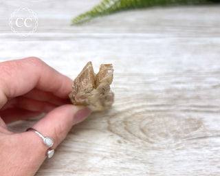 Golden Selenite - Arizona #6
