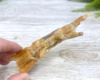 Golden Selenite | Gypsum - Australia #2