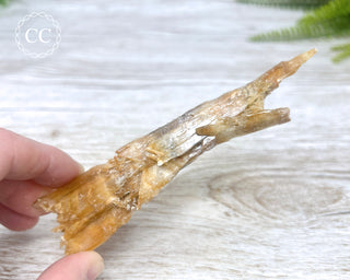 Golden Selenite | Gypsum - Australia #2