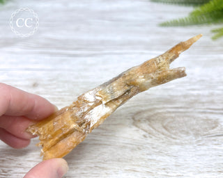 Golden Selenite | Gypsum - Australia #2