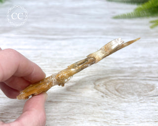 Golden Selenite | Gypsum - Australia #2