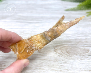 Golden Selenite | Gypsum - Australia #2