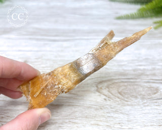 Golden Selenite | Gypsum - Australia #2