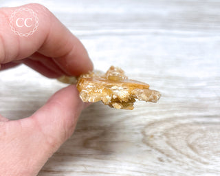 Golden Selenite | Gypsum - Australia #2