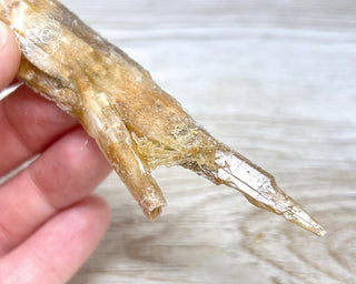 Golden Selenite | Gypsum - Australia #2