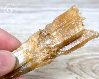 Golden Selenite | Gypsum - Australia #2