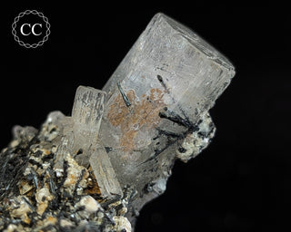 Goshenite and Black Tourmaline Cluster #2