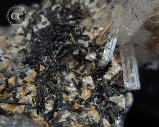 Goshenite and Black Tourmaline Cluster #2