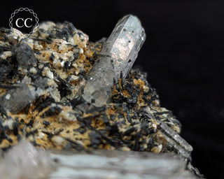 Goshenite and Black Tourmaline Cluster #2