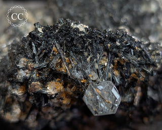 Goshenite and Black Tourmaline Cluster #2