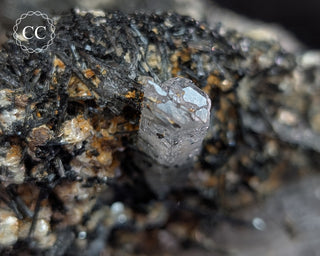 Goshenite and Black Tourmaline Cluster #2
