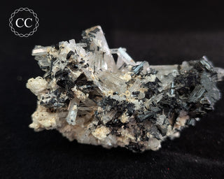 Goshenite and Black Tourmaline Cluster #3