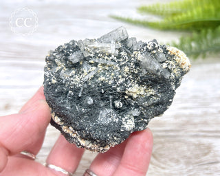 Goshenite and Black Tourmaline Cluster #1
