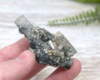 Goshenite and Black Tourmaline Cluster #2