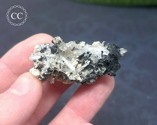 Goshenite and Black Tourmaline Cluster #3