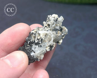 Goshenite and Black Tourmaline Cluster #3
