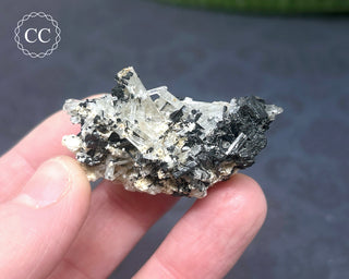 Goshenite and Black Tourmaline Cluster #3