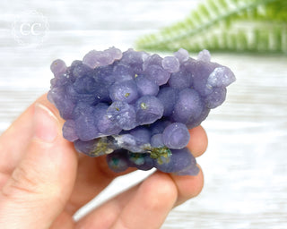 Grape Agate #11