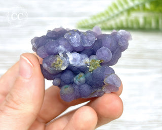 Grape Agate #11