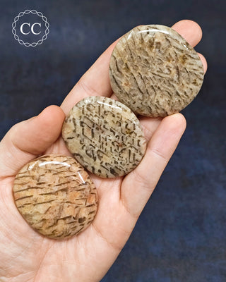 Graphical Moonstone Palm Stone