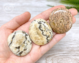 Graphical Moonstone Palm Stone