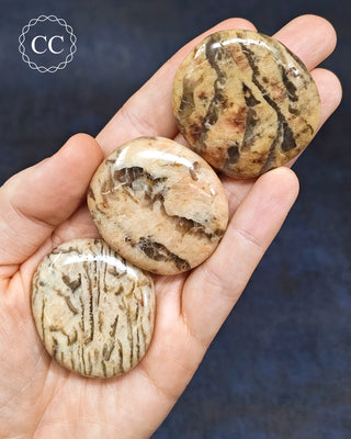 Graphical Moonstone Palm Stone