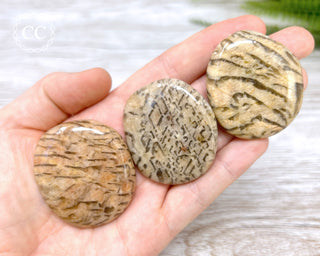 Graphical Moonstone Palm Stone