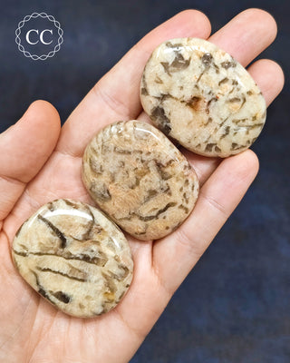 Graphical Moonstone Palm Stones in hand