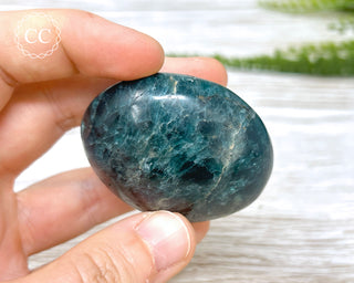 Green Apatite Chunky Palm Stone #2