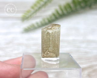 Green Apatite Crystal #8