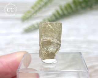 Green Apatite Crystal #2