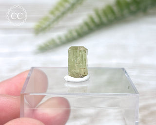 Green Apatite Crystal #5